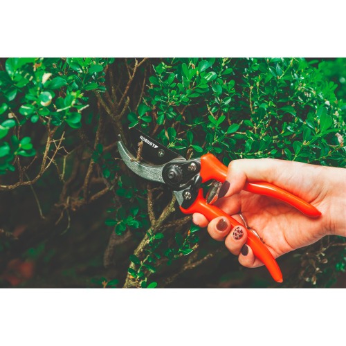 Tesoura manual para poda 8 Tesoura manual para poda 8